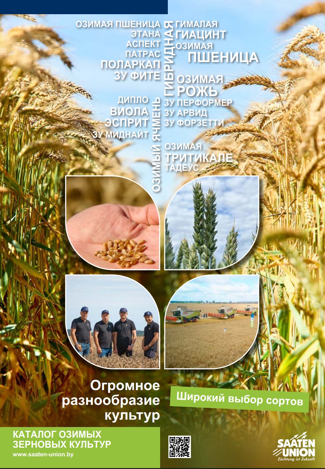 Озимые культуры