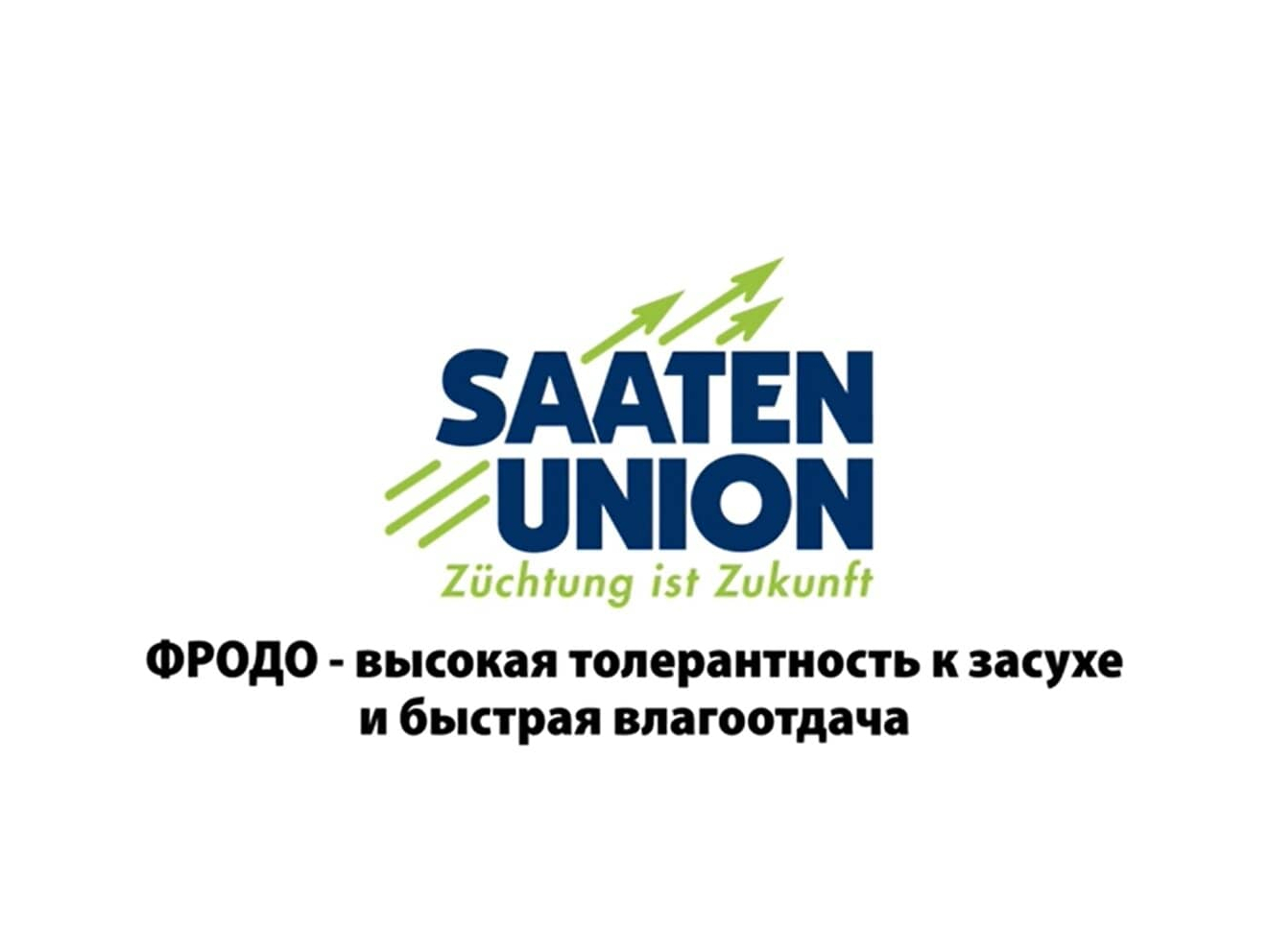 ФРОДО — отличный выбор для возделывания на зерно и силос