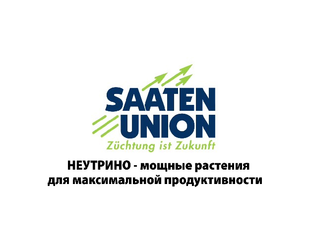 НЕУТРИНО — мощные растения для максимальной продуктивности