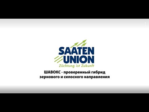 YouTube Preview